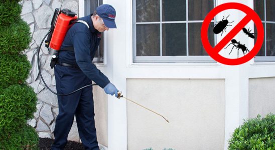 Evka 6 Böcek ve Haşere İlaçlama böcek ilaçlama ve haşere kontrolü — ilaclama-tr.com